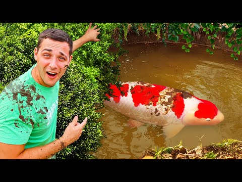 I Found Rare MONSTER Fish in a Mud Pond