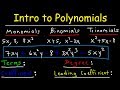 Identifying Monomials, Binomials, and Trinomials