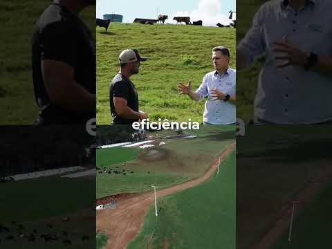 Manejo de pastagem