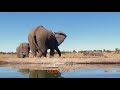 Identifying Sounds in Video