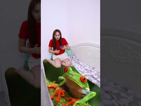 Shark in the bed ๐ฆ #shorts Tiktomiki