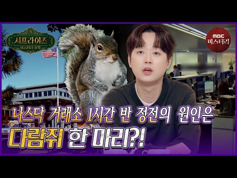 [서프라이즈] 전세계 주식 거래를 마비시킨 범인은 검은 다람쥐?! MBC 261004 방송 #서프라이즈미스터리살롱