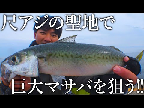 【日本一美味いサバを求めて】尺アジの群れの中から40㎝越えの巨大マサバを狙う！日本海編