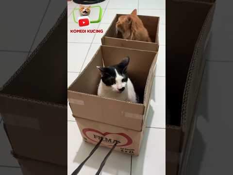 Kereta api canggih #short