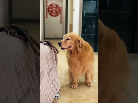 有了二胎之後，我們可能會在不經意間忽視了家裏的老大