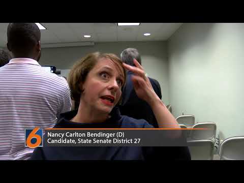 Nancy Carlton Bendinger Democratic nominee Senate District 27