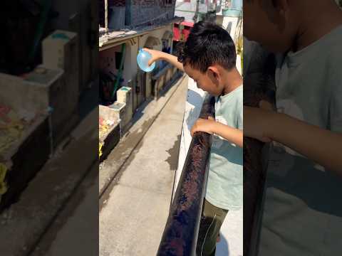 Kuku ne dono ko fenk diya ๐๐ #shorts #viralshorts #youtubeshorts