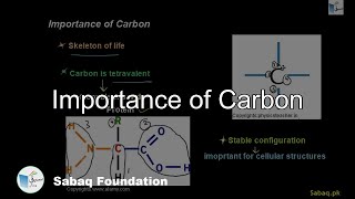 Importance of Carbon