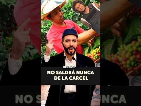 ¿LOS PANDILLEROS SALDRAN EN LIBERTAD?