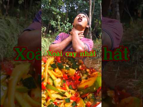 Thử thách xoài cay trong rừng. #shorts #vlog