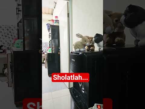 Shokatlah