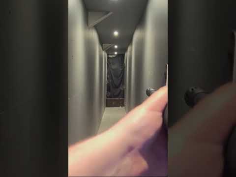 T8 MWS with Vortex Optic