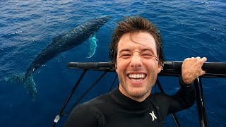 I Tried Swimming with Humpback Whales in Tahiti