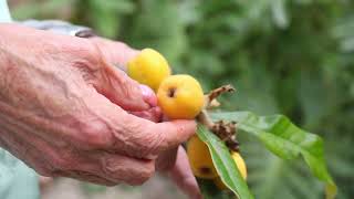 A DOR INVISÍVEL DO CUIDADOR: CUIDO DE QUEM ME MALTRATA - CONTE COM A FORÇA DA NATUREZA