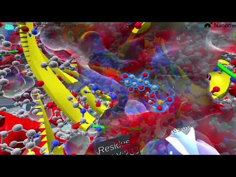 Protein Structure (Part 1 of 10) - Intro and Importance