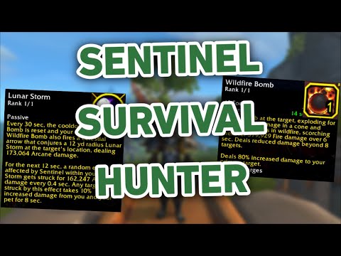 BRING THE STORM! | Sentinel Survival Hunter