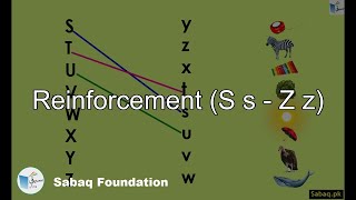 Reinforcement (S s - Z z)