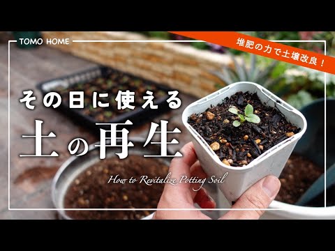 古い土を速攻再生！簡単な土の再生方法・植え付けまでやってみた