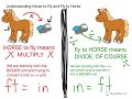 Measurement Conversions in Horse to Fly