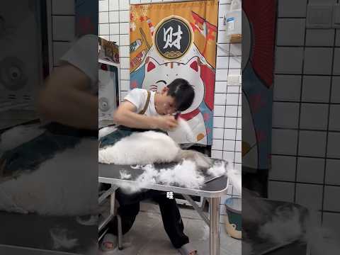 Is There Any Way to Stop This Crying Sound