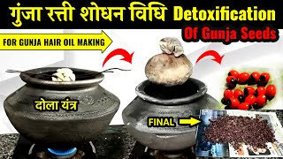 गुंजा रत्ती शोधन विधि || detoxification of Gunja || Detoxification of Abrus precatorius L. seeds