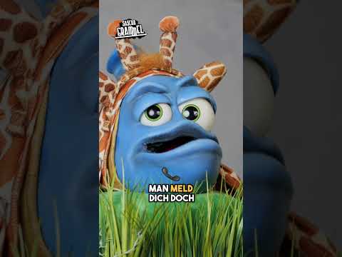 Lass doch ma quatschen...