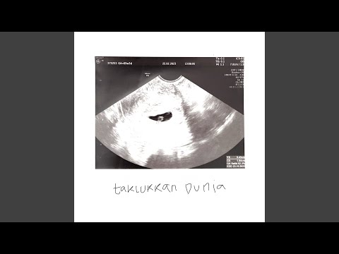 Taklukkan Dunia