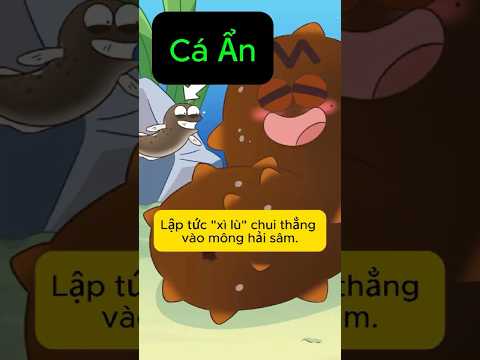Ác Quỷ Cá Ẩn Mà Khiến Cho Hải Sâm Phải Khiếp Sợ | Gino Nguyễn #kienthuc #funny #shorts