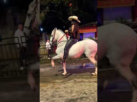 #domador #cavalomarchador #cavalos #cavalo #horse #domadordeferas #vaquejada #domando #amocavalo