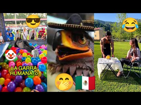 si te ries pierdes 😂😂🤣#viral #2023 los mejores videos de internet @Kingsoflaughter21