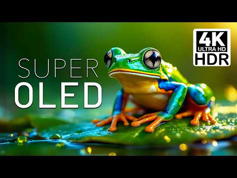 SUPER OLED Screen Test 4K HDR10+ Dolby Vision | Deep Blacks + Stunning Footage