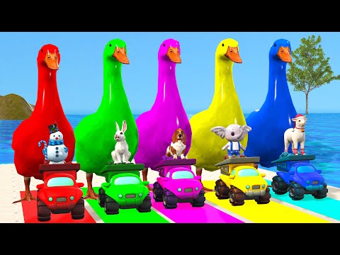 5 Giant Duck Cartoon,Cow,Elephant,Tiger,Lion,Dog, Paint Wild Animals Crossing Fountain Animation