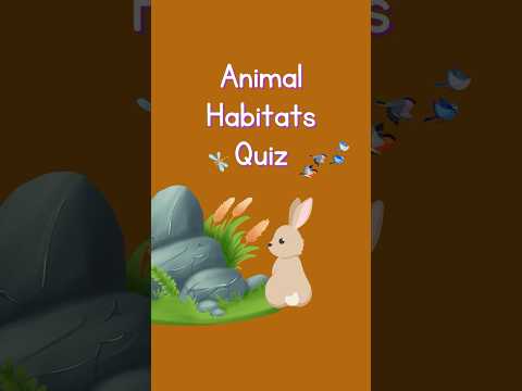 Find workbooks to help you on my website at : www.repeatretainkids.com #education #homeschoolingfun