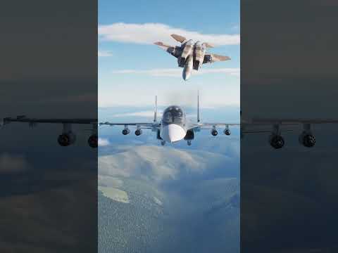 DISARMED! F-15 PUNKS SU34 AND KNOCKS ALL ITS MISSLES OFF in DCS