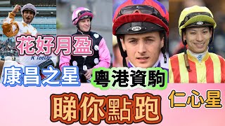 2月25日賽後睇你點跑？ 仁心星 粵港資駒 康昌之星 花好月盈
