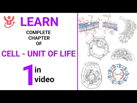 Cell - Unit of Life Explained || NEET 2025 Biology || Class 11 NCERT Biology || Dr Sharun