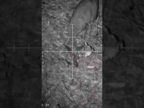 VISÃO NOTURNA HENBAKER CY800