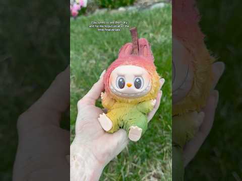 🥭 labubu #labubu #labubuthemonsters #diy #ritdye #custom #mango #popmart #labubus #plush #fyp