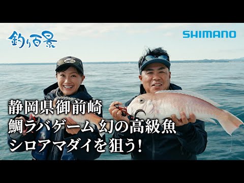 【釣り百景】#566 静岡県御前崎 鯛ラバゲーム 幻の高級魚 シロアマダイを狙う！