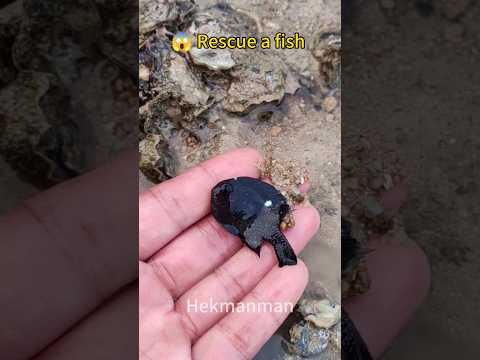 OMG Almost Die, just do my best #shorts #love #viral