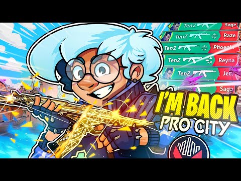 I FINALLY WENT BACK TO PRO SCRIMS !!!
