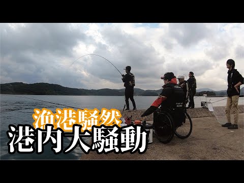 秋の堤防でリールも壊れる驚愕魚が掛かり港内は大騒動になった！！！