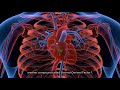 Stem Cell Activity and Tissue Repair