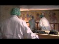 King Tutankhamun: Mysteries and Discoveries