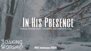 In His Presence | Soaking Worship Music | Prophetic Instrumental Worship