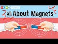 Exploring the Forces of Magnetism