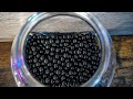 Understanding Scoop Beads Usage