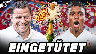 BLITZ-EINIGUNG bei BAYERN-STAR! VfB KAUFT NEUEN TORJÄGER! | KickNews