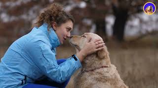 13 signs that your dog sees you as their ultimate BFF