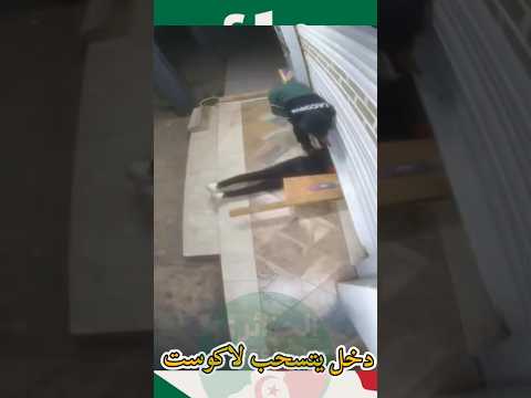 برعاية التمساح الاخضر اسم على مسمى العالمية خاوتي ناكست #اكسبلور #أمن #تيك_توك #الجزائر #اهميه